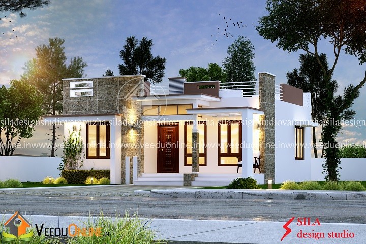 1162 Square Feet Single Floor Contemporary Home Design